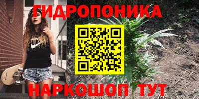 2c-b Рузаевка